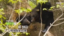 [MBC Documetary Special] - Preview 816 20190909