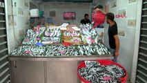 Çanakkale'de av sezonunun başlamasıyla balık fiyatları düştü