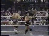 Steiner Brothers vs Doom