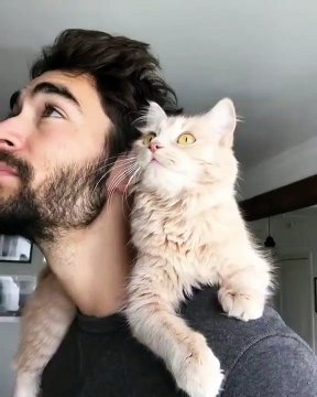 Ce chat et son maitre sont à couper le souffle. Admirez les