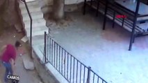 Ankara'da 5 kediyi öldüren köpeğe öldüresiye dayak kamerada
