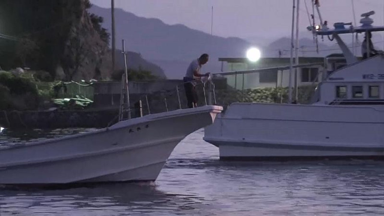 Delfinjagd beginnt: 1700 Säuger freigegeben