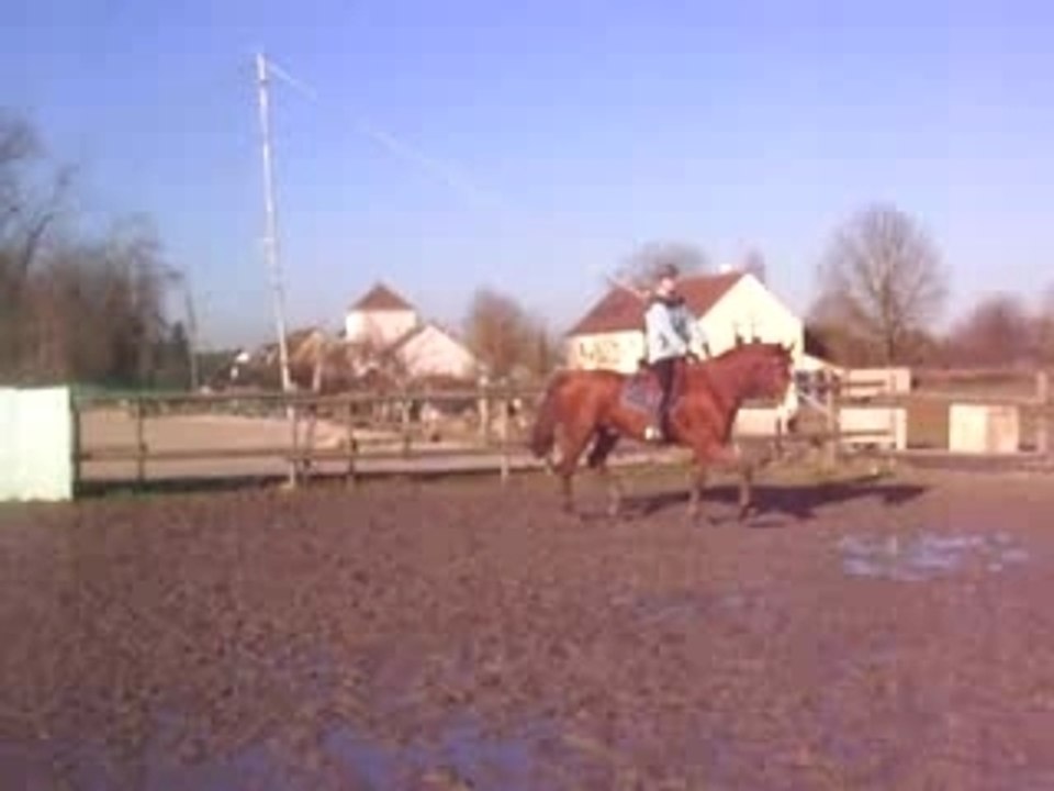 lead trot