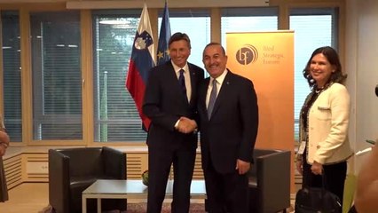 下载视频: Dışişleri Bakanı Çavuşoğlu, Slovenya Cumhurbaşkanı Pahor ile görüştü