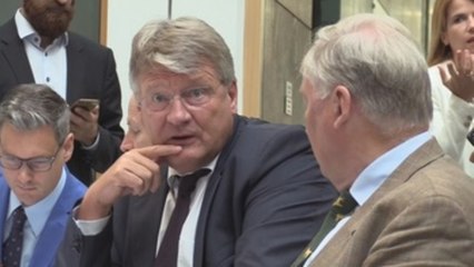 Partidos alemanes insisten en aislar a los ultras tras su arrollador ascenso