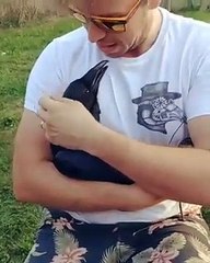Ce corbeau adore les papouilles