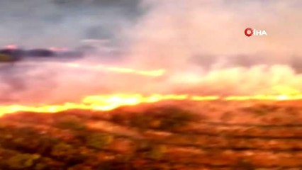 Erdek'te çıkan yangın söndürüldü