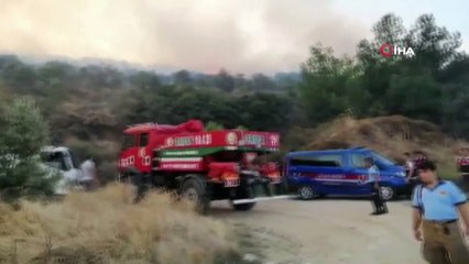 Erdek'te orman yangını