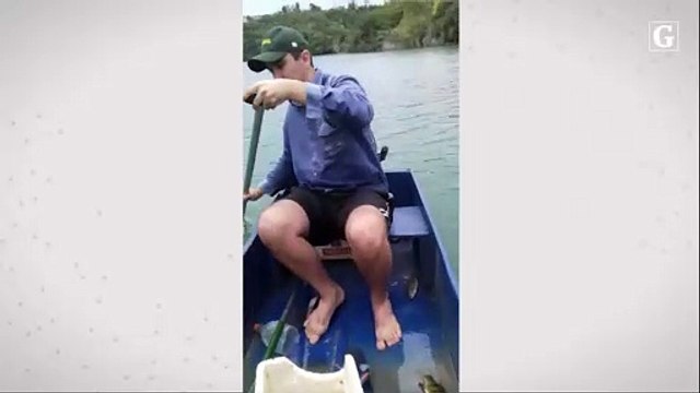 Preguiça pega carona em barco e rouba a cena em Linhares