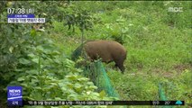 [스마트 리빙] 성묘할 때 술 뿌리지 마세요