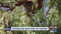 Monsoon damage seen throughout the Valley
