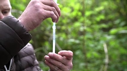 Glasgow eye of storm as drug deaths spiral in Scotland