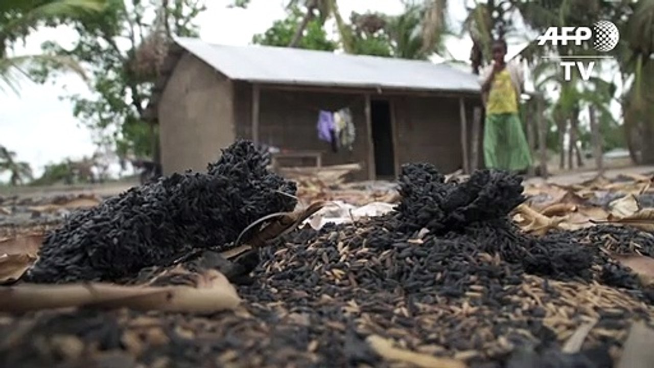 Au nord du Mozambique, la population vit dans la terreur des jihadistes "fantômes"