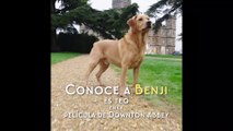 DOWNTON ABBEY Película - Detrás de cámaras con Benji