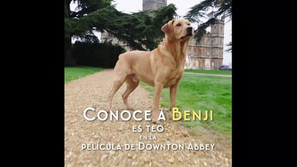 DOWNTON ABBEY Película - Detrás de cámaras con Benji