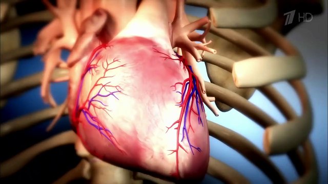 Здоровье. Дожить до 120. Статины. (08.05.2016)