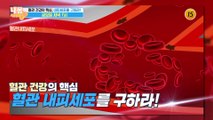 혈관 건강의 핵심, 내피세포를 구하라!_내 몸 사용설명서 267회 예고