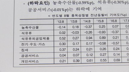 소비자물가 '사실상 마이너스'..."디플레이션은 아니다" / YTN