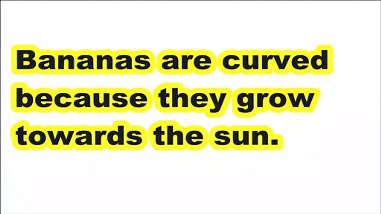Fun Facts that will make your life better