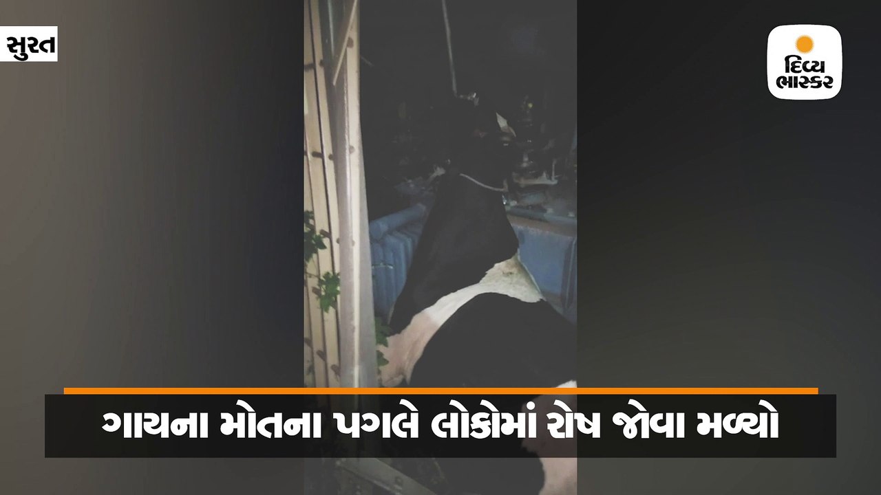 સુરતમાં DGVCLની બેદરકારી, ટ્રાન્સફોર્મરમાં ગાયને કરંટ લાગતા મોત