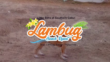 Slide Photos of Lambug Beach in Badian Cebu