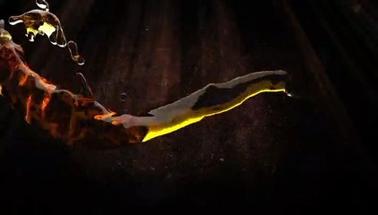 Adobe After Effects Template Liquid Gold Logo