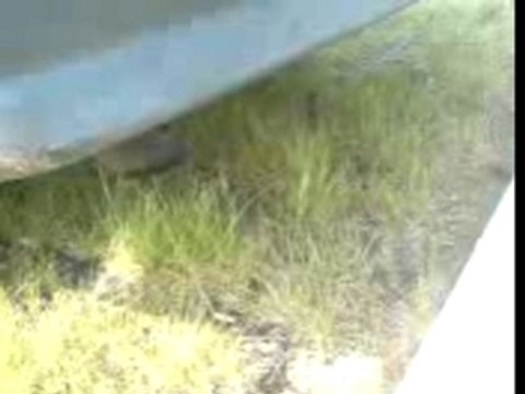 309 prepa maxi vieux