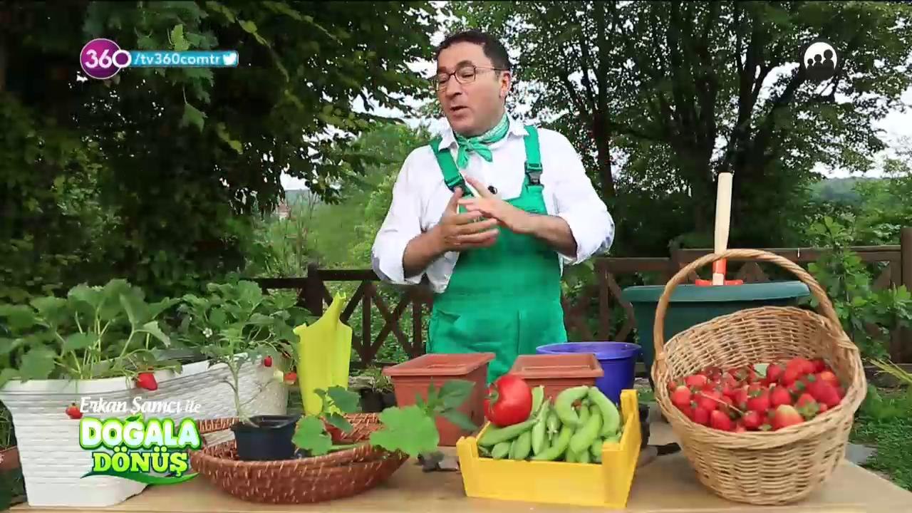 Doğala Dönüş
