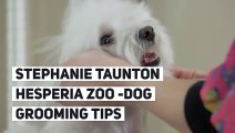 Stephanie taunton Hesperia Zoo -Dog Grooming tips Video