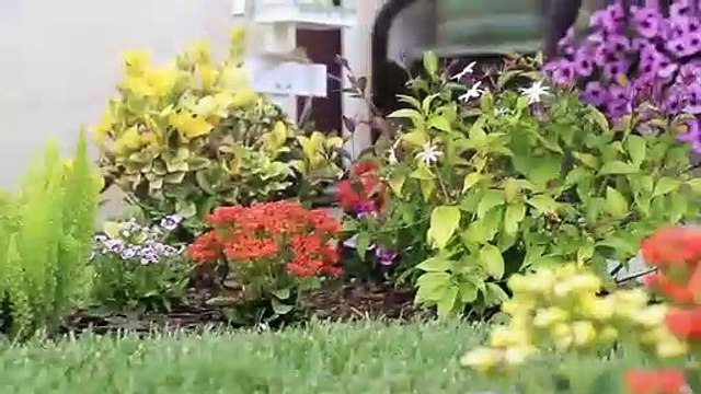 ‫Smart Irrigation WiFi‬