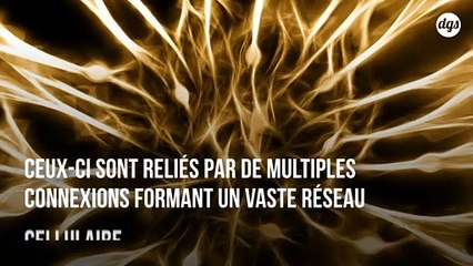 Le cerveau humain peut créer des structures jusqu'à 11 dimensions