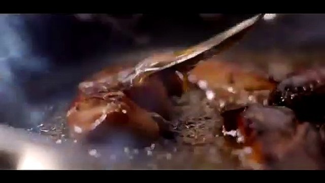 M6 révèle le nom du chef qui remplace Jean-François Piége dans Top Chef - VIDEO