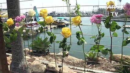 Acht Tote nach Untergang von brennendem Schiff vor Kalifornien