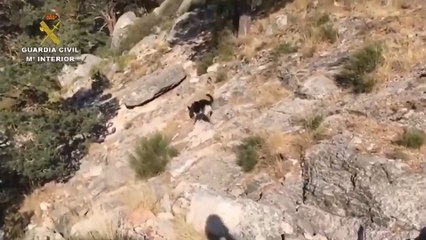 La búsqueda de Fernández Ochoa se centra en lugares más abruptos