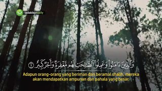 Qur'an Surah Faatir - Syaikh Alaa Almirzaaji
