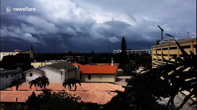 Dark clouds and strong winds slam palm trees ahead of Hurricane Dorian's arrival in Florida