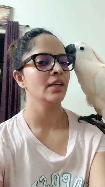 My CockaTales