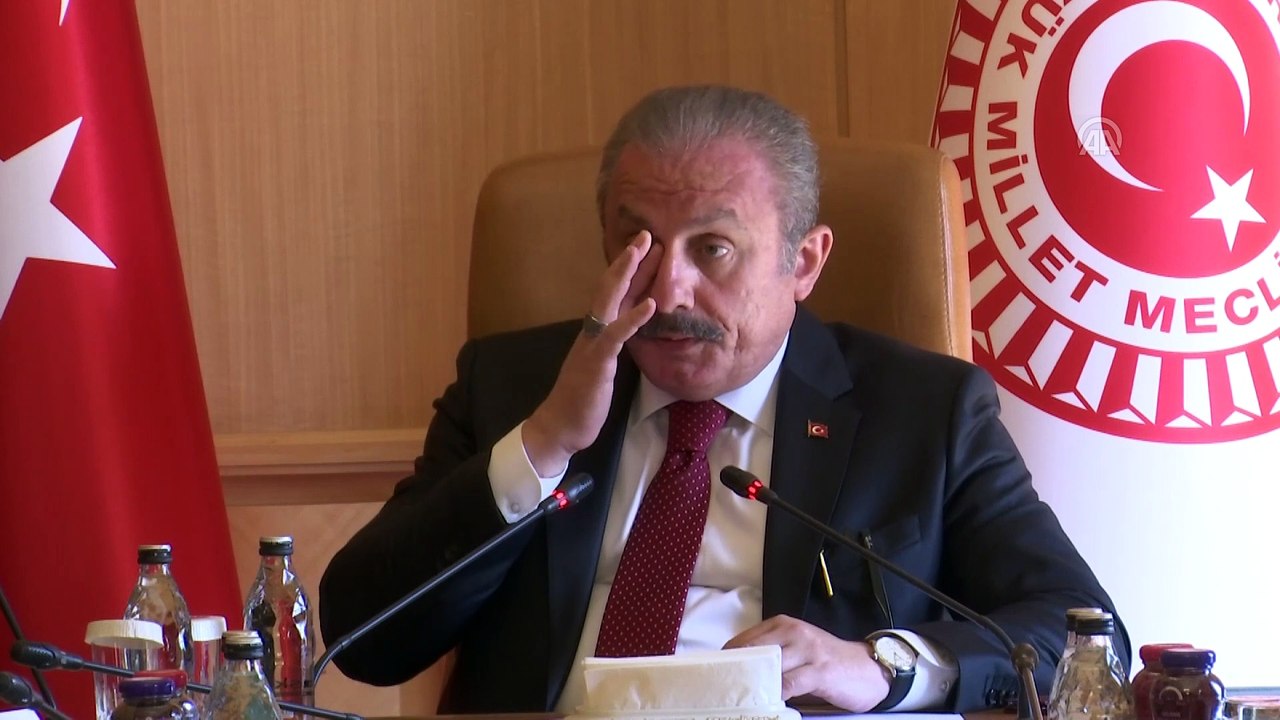 Meclis Başkanı Şentop, Çekya Başbakanı Andrej Babis'i kabul etti (2) - TBMM