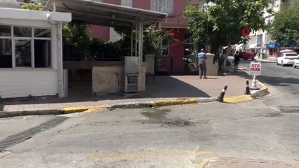 Yol ortasındaki kedinin su içmesini bekleyen sürücüden örnek davranış