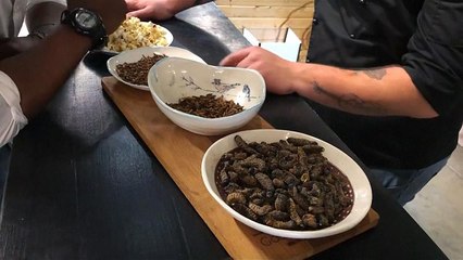 Un restaurant sud-africain sert des repas exclusivement préparés à base d'insectes