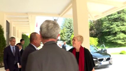 Dışişleri Bakanı Çavuşoğlu'nun kabulü