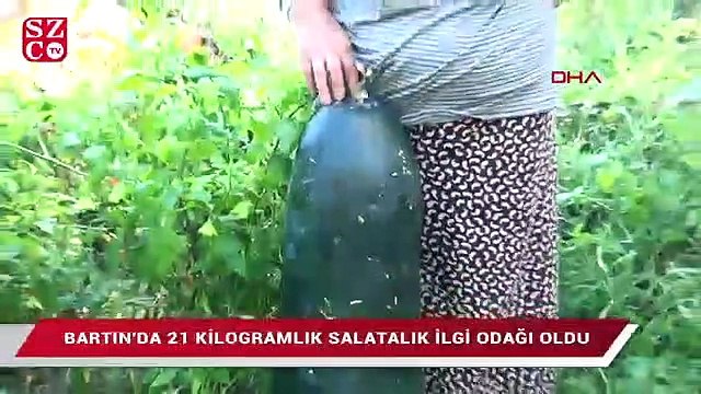 Çin salatalığını görünce şaşırdı