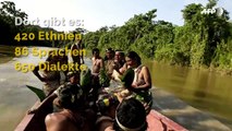 Amazonas: Wissenswertes über die 