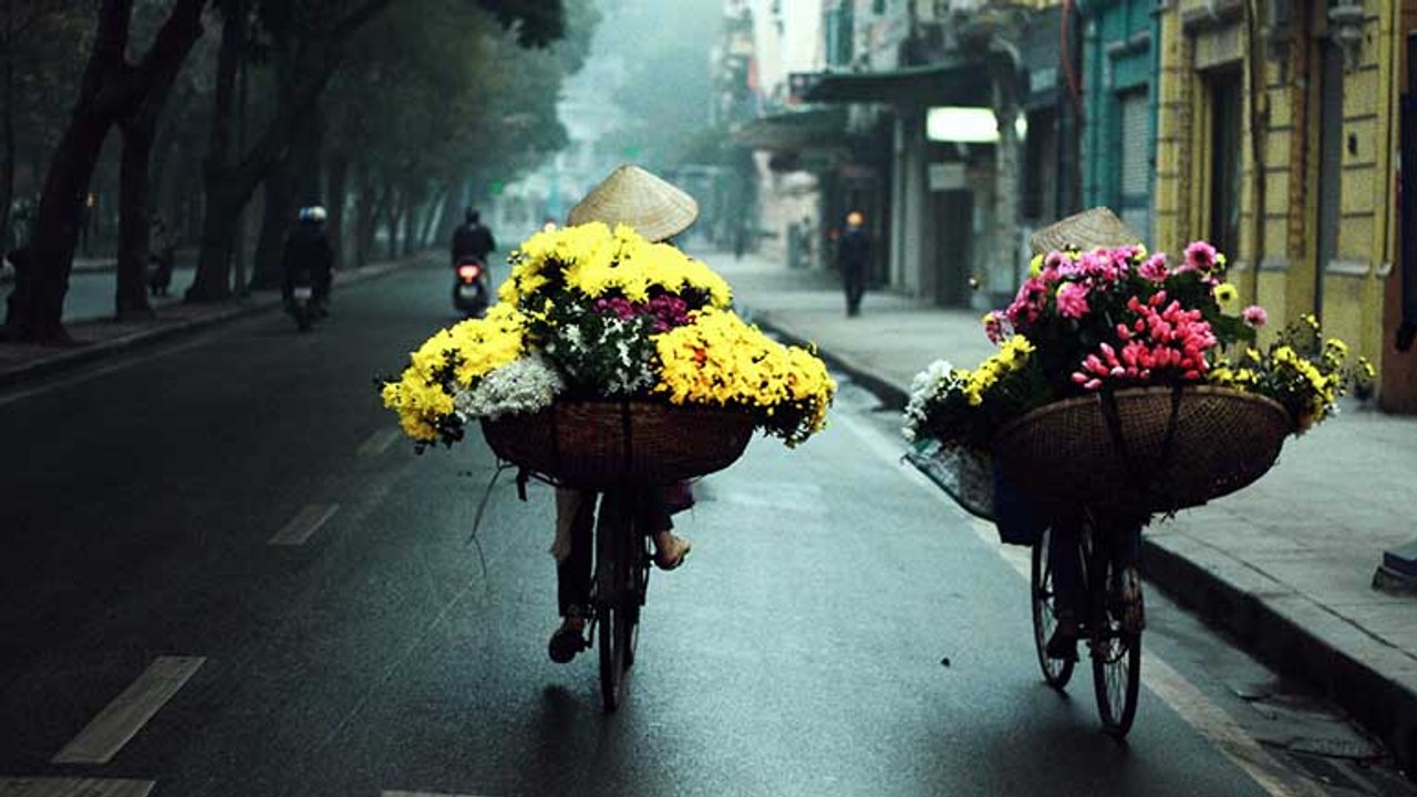 NetViet stories -03/09/2019
