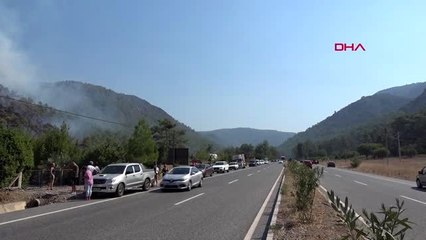 Muğla marmaris'te alevler 5 hektar kızılçam ormanını küle çevirdi
