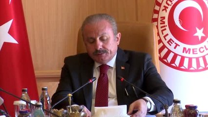 Meclis Başkanı Şentop, Çekya Başbakanı Andrej Babis'i kabul etti (3)