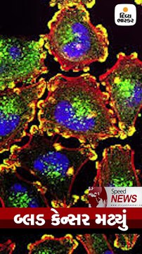 સુરતમાં દારૂ અને બિયરની બોટલો સાથે ગણપતિ પંડાલમાં ડાન્સનો વીડિયો વાઇરલ