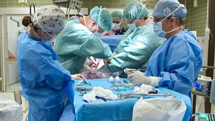 Czech baby is delivered after brain-dead mother kept alive for 117 days