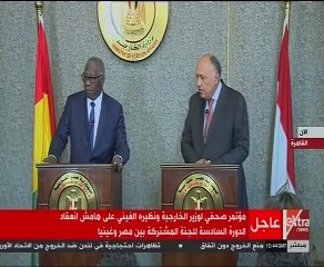وزير الخارجية: جهود مصرية - غينية لدعم الاندماج الأفريقى