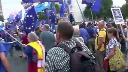 Descargar video: Remainers and Leavers protest outside Downing Street gates